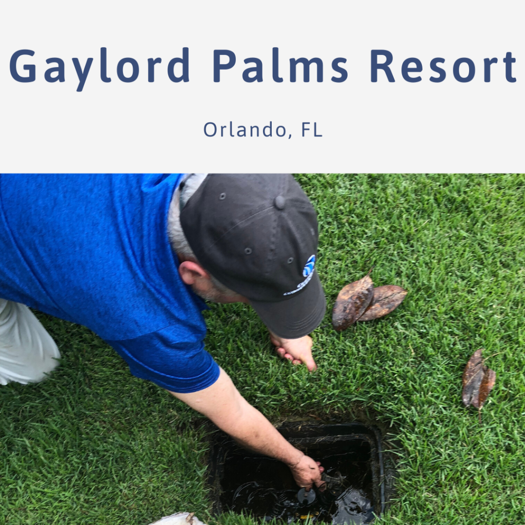 Gaylord Palms Resort